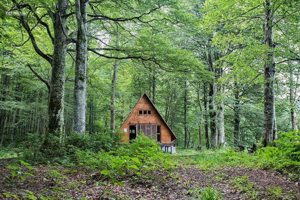 Wonderland Hotell Tsjakvi Eksteriør bilde